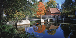 15822 medium image 5725