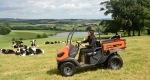 bild 5 av Kubota RTV400